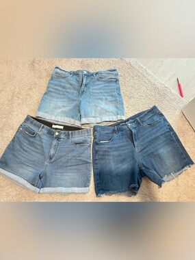 Women’s Size 14 Denim Shorts Lot